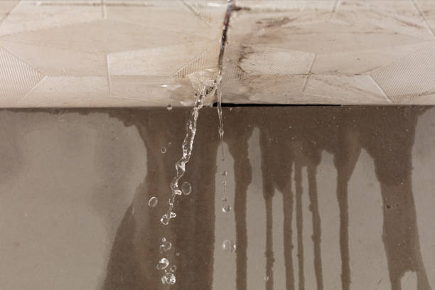 Professional Water Damage Repair technician working in Chase, PA